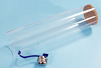 �g�s�p�A�N�����P�[�X